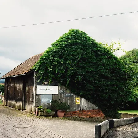 Moderne Auf Dem Weingut Monzingen