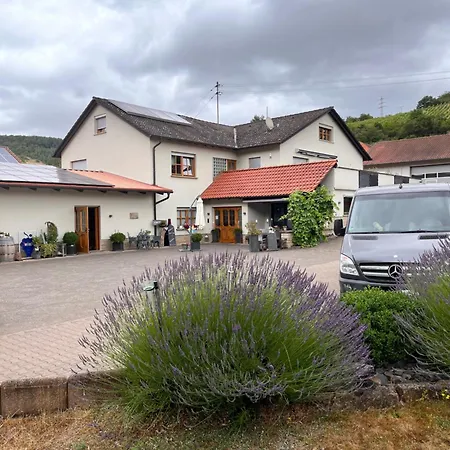 Lägenhet Moderne Auf Dem Weingut Monzingen